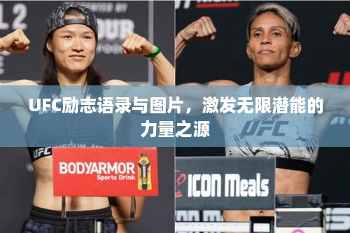 UFC勵志語錄與圖片，激發(fā)無限潛能的力量之源