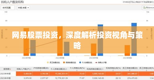 網(wǎng)易股票投資，深度解析投資視角與策略