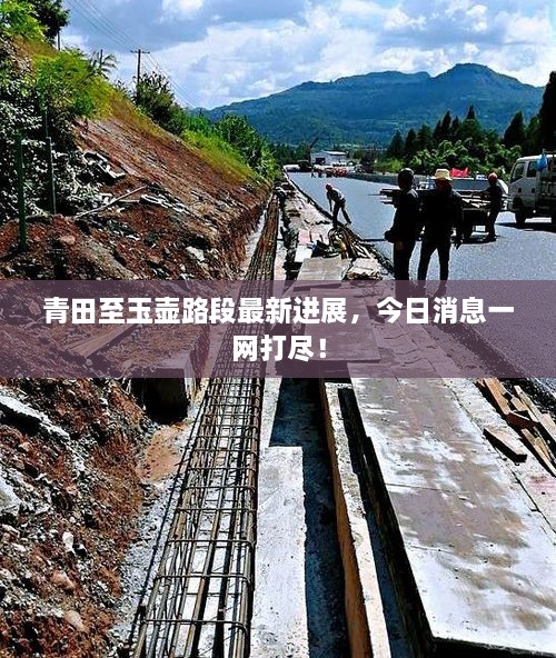 甄繁就簡