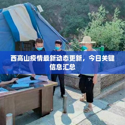 西高山疫情最新動態(tài)更新，今日關(guān)鍵信息匯總
