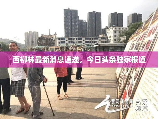 西柳林最新消息速遞，今日頭條獨(dú)家報(bào)道