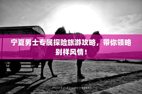 寧夏男士專屬探險(xiǎn)旅游攻略，帶你領(lǐng)略別樣風(fēng)情！