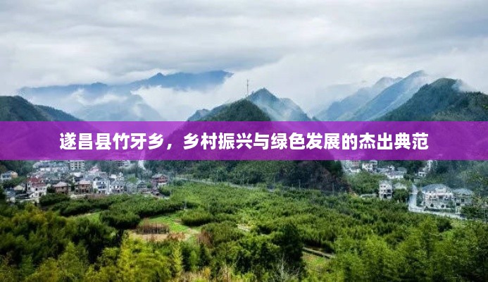 遂昌縣竹牙鄉(xiāng)，鄉(xiāng)村振興與綠色發(fā)展的杰出典范