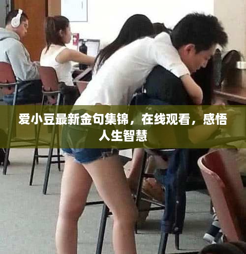 愛小豆最新金句集錦，在線觀看，感悟人生智慧