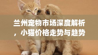 蘭州寵物市場深度解析，小貓價(jià)格走勢與趨勢探尋