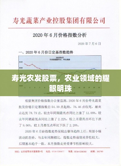 壽光農(nóng)發(fā)股票，農(nóng)業(yè)領(lǐng)域的耀眼明珠