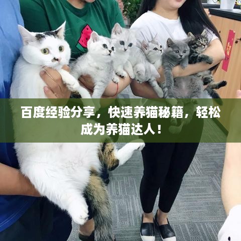 百度經(jīng)驗(yàn)分享，快速養(yǎng)貓秘籍，輕松成為養(yǎng)貓達(dá)人！