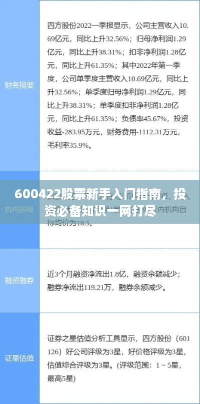600422股票新手入門指南，投資必備知識(shí)一網(wǎng)打盡