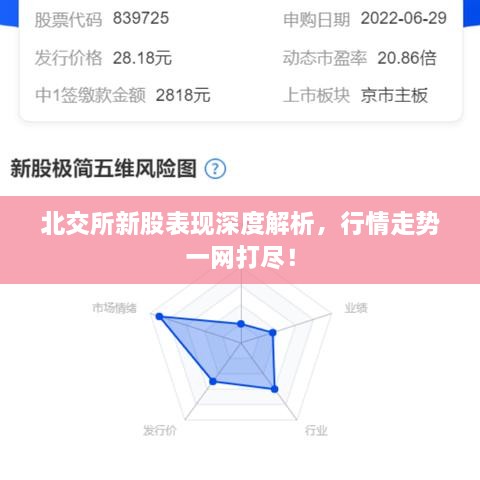 北交所新股表現(xiàn)深度解析，行情走勢(shì)一網(wǎng)打盡！