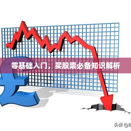 零基礎入門，買股票必備知識解析
