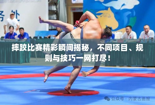 摔跤比賽精彩瞬間揭秘，不同項(xiàng)目、規(guī)則與技巧一網(wǎng)打盡！