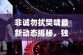 非誠勿擾樊嘯最新動態(tài)揭秘，獨家爆料吸引眼球！