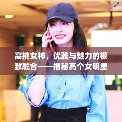 高挑女神，優(yōu)雅與魅力的極致融合——揭秘高個女明星的魅力風采
